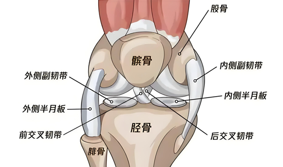1744332369148083.png 微信图片_20250411084456.png