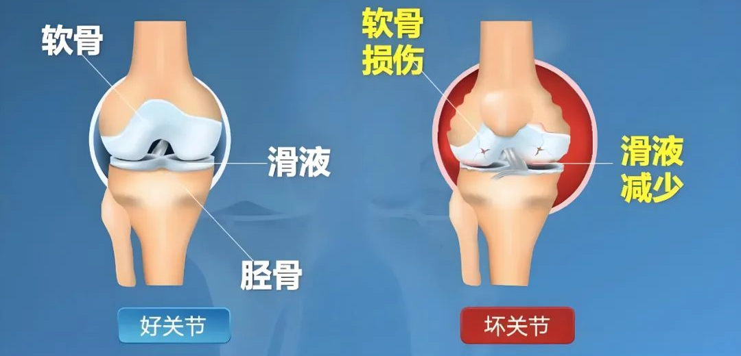 1744332381163659.png 微信图片_20250411084450.png