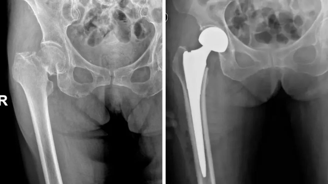 1763106492172517.jpg 1763106492172517.jpg