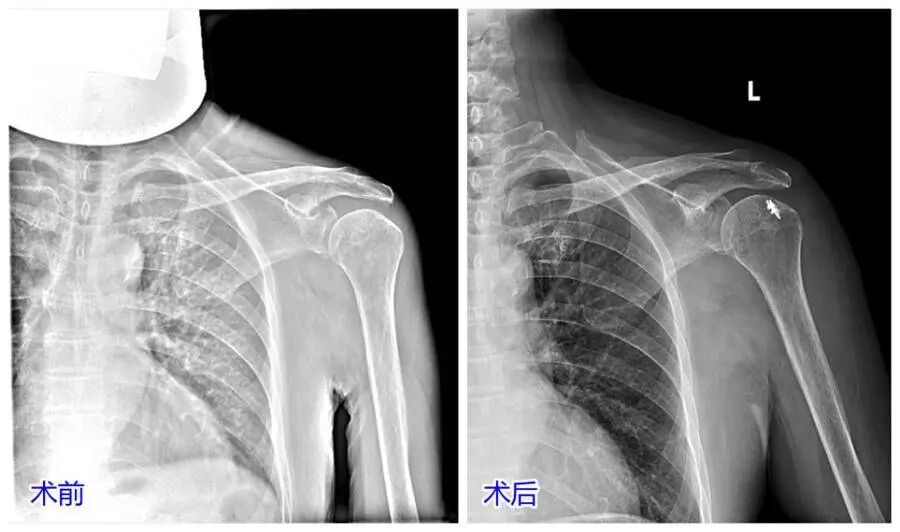 1765521256211842.jpg 微信图片_2025-12-12_143110_729.jpg