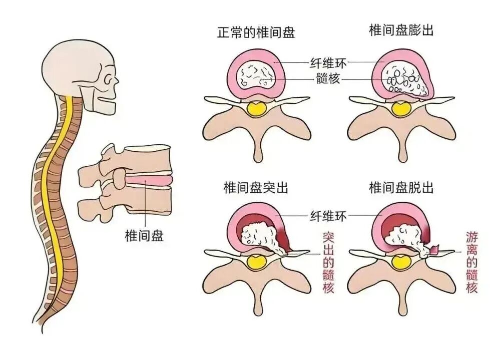 1768609799832949.jpg 1768609799832949.jpg