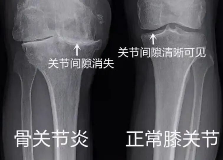 1770856154169713.jpg 640 (1).jpg