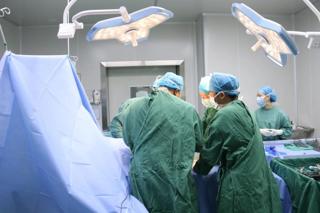 1774595010845702.jpg 1774595010845702.jpg